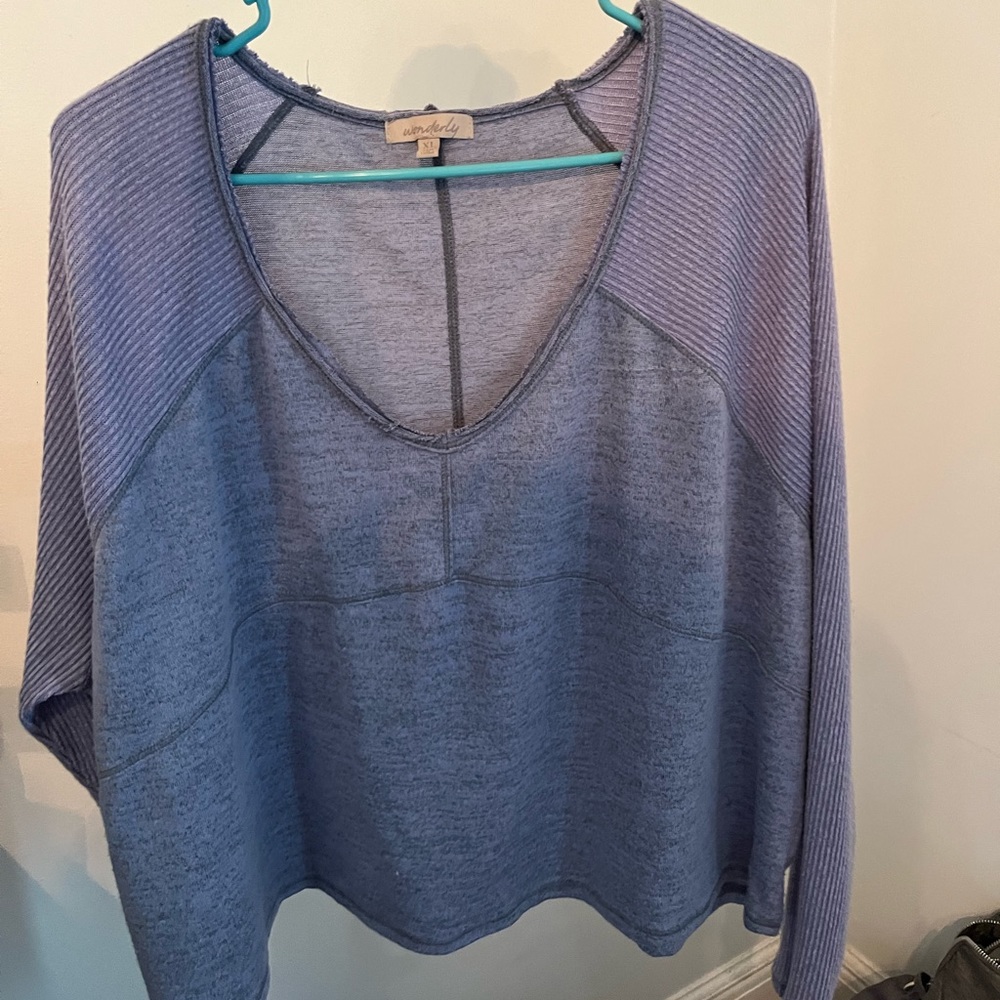 Wonderfly oversized crop top :) really pretty purple in person